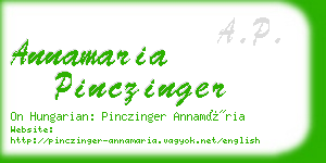 annamaria pinczinger business card